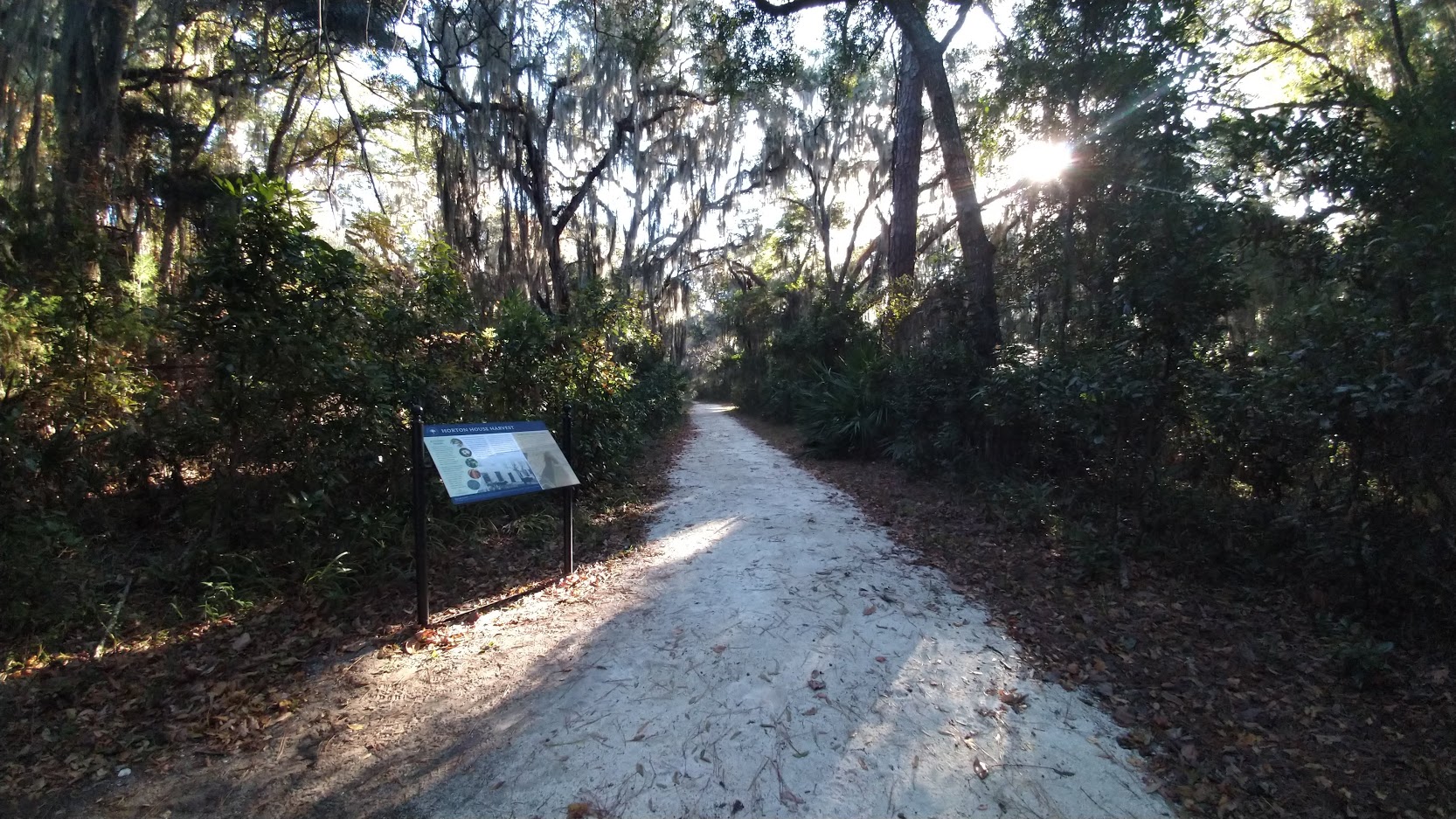 Horton Road on Jekyll Island