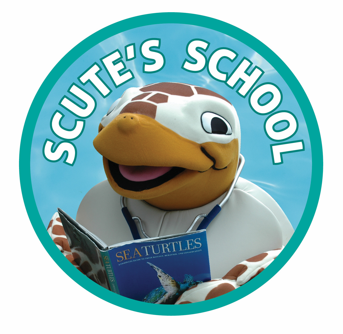 Scute (Original Character) by Lasercraft32 on DeviantArt